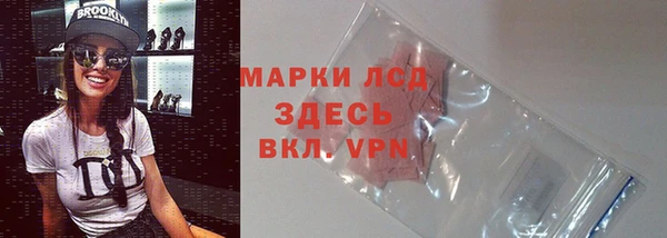 a pvp Аркадак