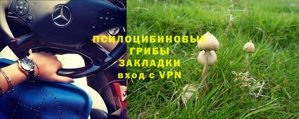 a pvp Аркадак