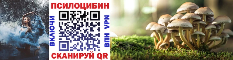 цена   Меленки  Галлюциногенные грибы GOLDEN TEACHER 
